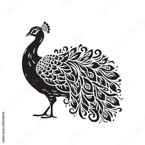 Peafowl Silhouette: Perfect for Nature-inspired Designs and Wildlife Enthusiasts - Peafowl Vector - Peafowl Illustration.