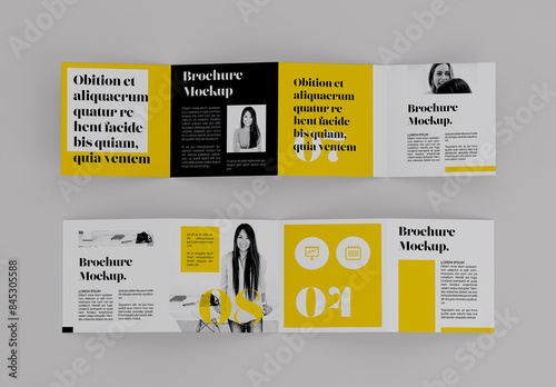 Accordion Folder Mockup