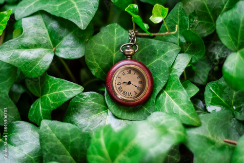 Elegancki zegarek na szyje vintage retro na tle liści roślin photo