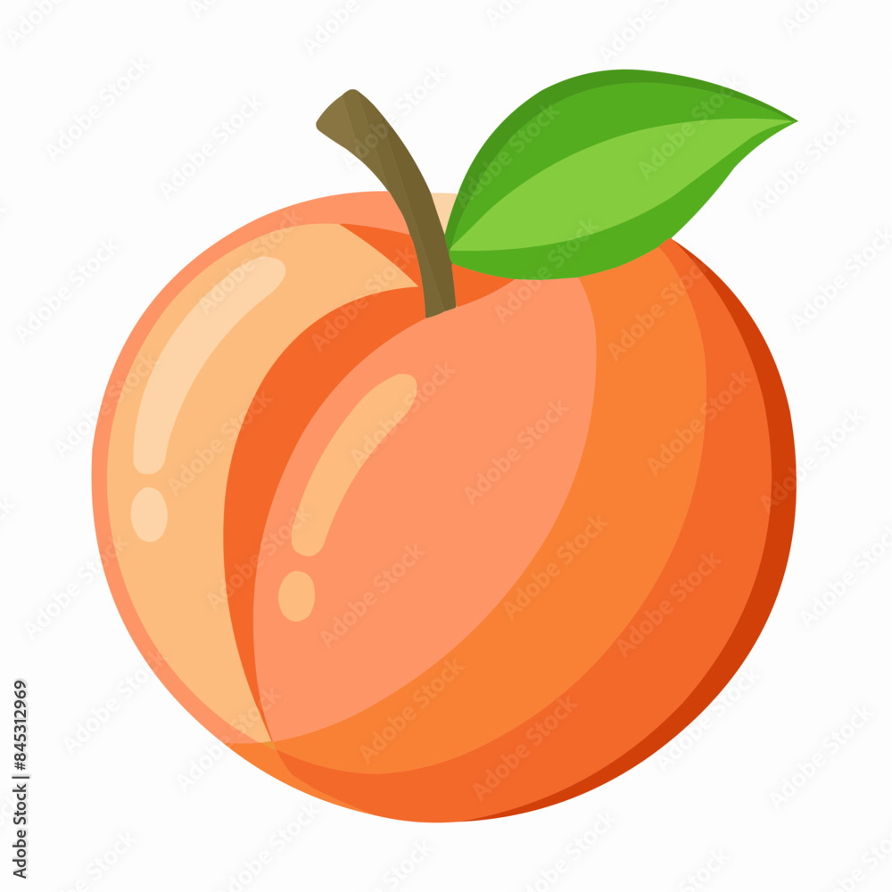 illustration of an peach fruit illustration of an peach fruit