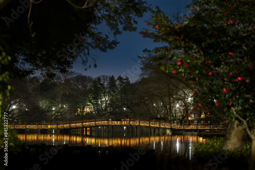 night inokashira park photo