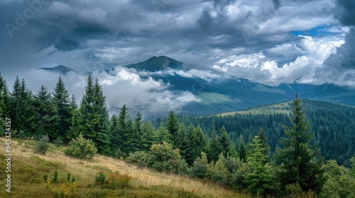Clouds Over Hoverla in the Forests of the Carpathian Mountains