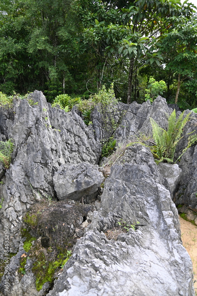 Bau, Malaysia - June 10 2024: The Paku Rock Maze Garden of Borneo Sarawak Malaysia Bau, Malaysia - June 10 2024: The Paku Rock Maze Garden of Borneo Sarawak Malaysia