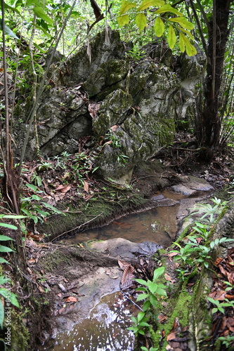 Bau, Malaysia - June 10 2024: The Paku Rock Maze Garden of Borneo Sarawak Malaysia photo