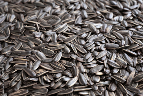 Close-up of many roasted striped sunflower seeds.