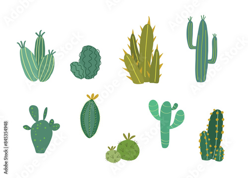 Flat design cactuses, cactus, mexican native flora. Isolated on white background. Beautiful set of vector green cactus groups. 
