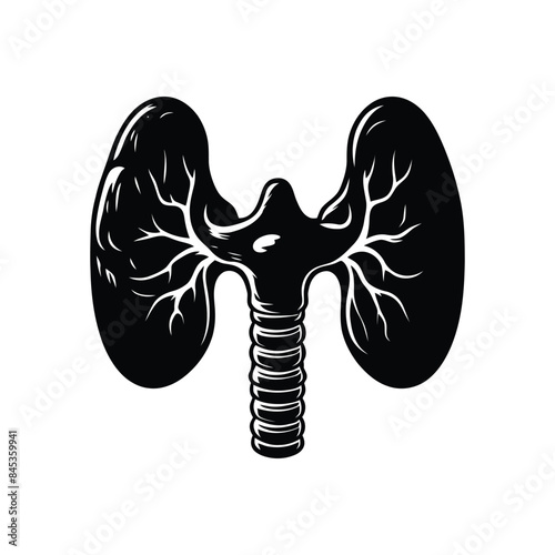 High-Quality Thyroid Gland Vector Illustration for Medical and Educational Use
