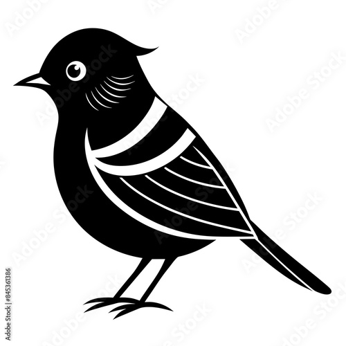 Kinglet bird silhouette black different style vector illustration line art