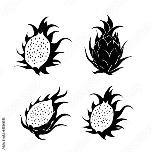 set of dragon fruits