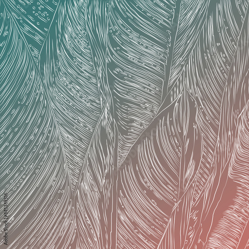 Linear illustration of leaves on gradient background