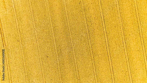 Yelloy crop fields at farmland patterns, aerial view, drone photo photo