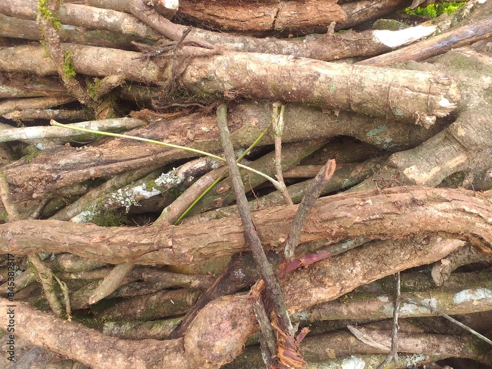 Abstract background of pile of tree branches suitable for naturethemed designs. Forest backdrop, landscaping concepts, ecofriendly promotions, rustic home décor projects. Abstract background of pile of tree branches suitable for naturethemed designs. Forest backdrop, landscaping concepts, ecofriendly promotions, rustic home décor projects.