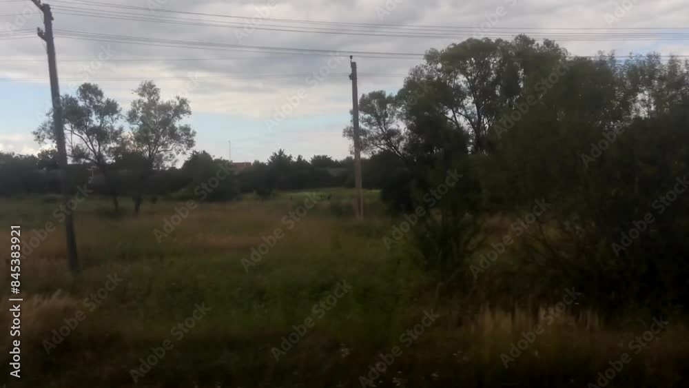 A rural area with a few trees and a house A rural area with a few trees and a house