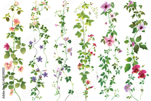 Wallpaper Mural collection of plant based magical effects, instant flowers blooming and fast growing vines on a white background. Torontodigital.ca