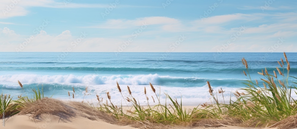 seaside view and beach vegetation. Creative banner. Copyspace image seaside view and beach vegetation. Creative banner. Copyspace image