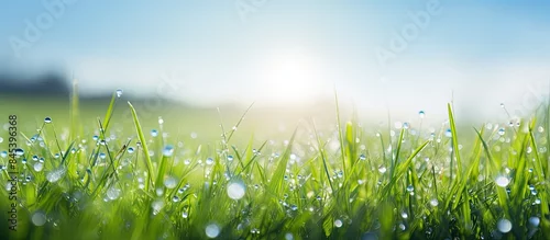 Panel kuchenny z motywem Close up of fresh morning dew droplets on green spring grass with blue sky Bright outdoors blurred background. Creative banner. Copyspace image
