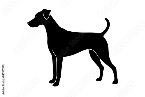 Dog silhouette vector illustration