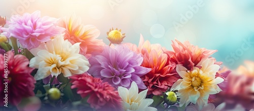 natural beauty and beautiful blooming colors of flowers. Creative banner. Copyspace image © HN Works