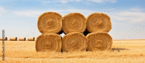 Hay bale pile. Creative banner. Copyspace image