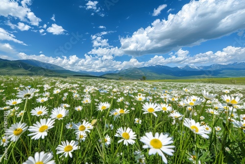 stunning illustration of a scenic field filled with daisies, set against a backdrop of majestic mountains, capturing the essence of natural beauty and tranquility.