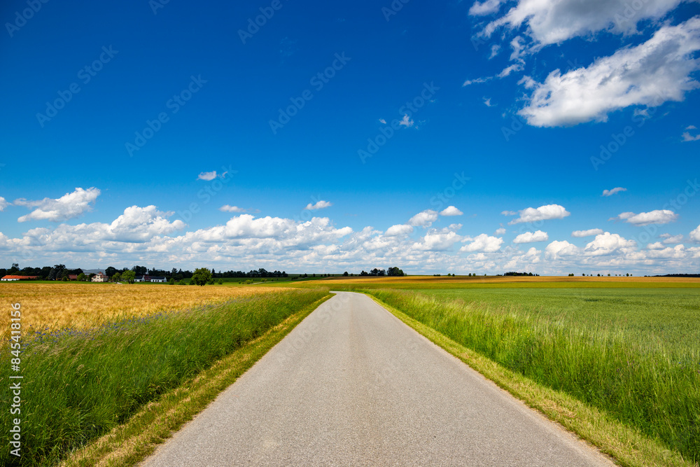 Road through the fields in sunny day Road through the fields in sunny day