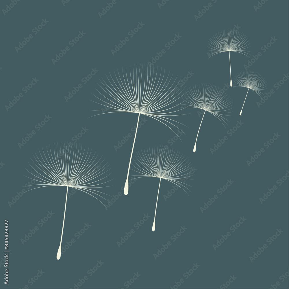 Vector illustration of dandelion time. Beautiful realistic Dandelion seeds blowing in the wind. The wind inflates a dandelion isolated in an editable evening background.