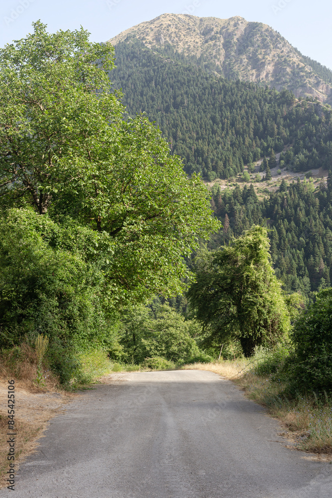 In the mountains of South Pindus, Greece on a summer day In the mountains of South Pindus, Greece on a summer day