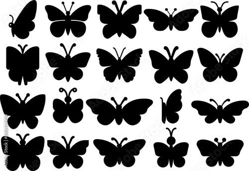 Vector butterflies silhouette set