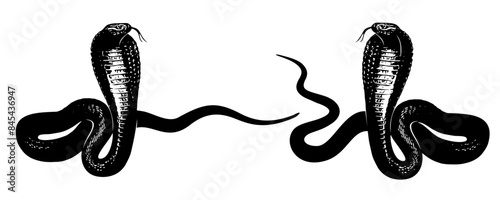 snake silhouette vector