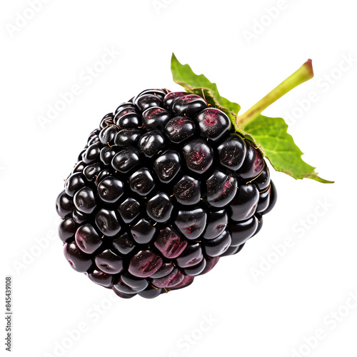 Close-up image of a fresh blackberry with green leaves, showcasing natural texture and vibrant color. Ideal for food and fruit-themed projects. photo