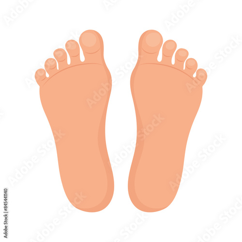 Human feet on a white background, anatomy of the human sole. Footprint illustration, human footprint symbol