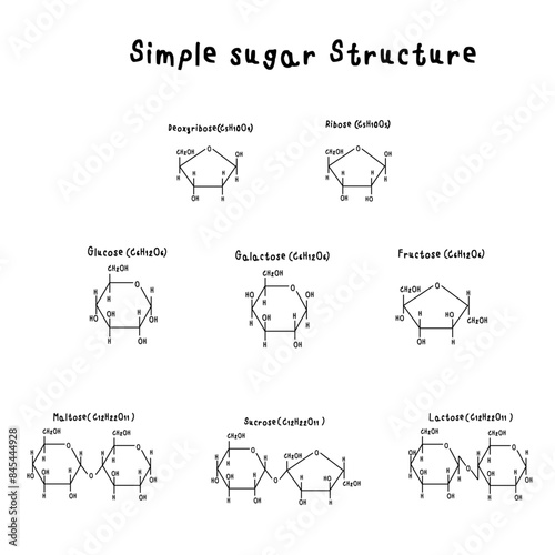 Set of sugar chemical structures such as Glucose, Fructose, Galactose, Ribose, Deoxyribose, Mannose, Xylose, Arabinose, Maltose, Sucrose, Lactose, Trehalose, Cellobiose photo