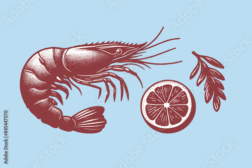 Shrimp.  Sea food set.  Rosemary. Lemon.  vintage red engraving illustration. isolated object. Icon, logo, emblem.