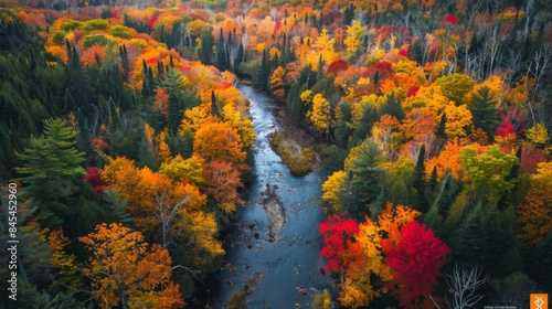 Vibrant Autumn Forest Panorama  River Meandering Through a Patchwork of Red  Orange  Yellow  and Green Trees from an Elevated Viewpoint