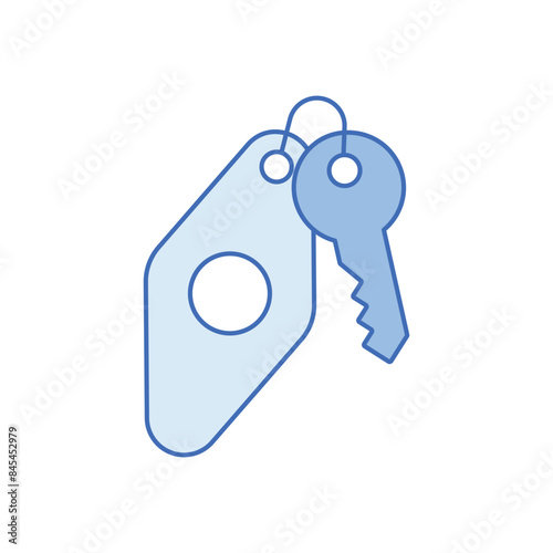 Room key vector icon