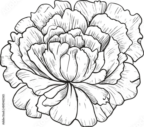 Hand-drawn flower sticker and tattoo vector