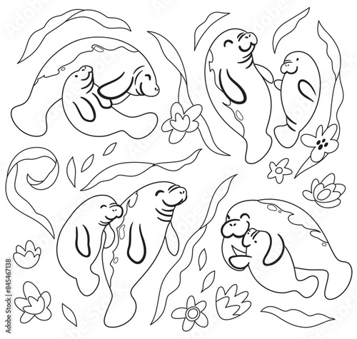 Cute Manatees with babies in outlines. Vector illustration