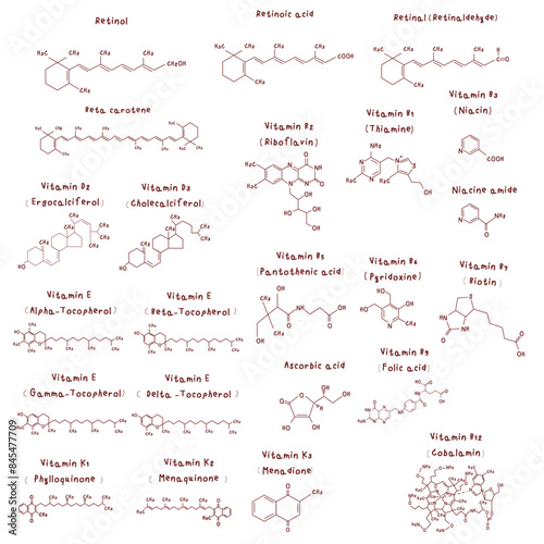 Set of vitamin equation such as Vitamin A, Vitamin B1 (Thiamine), Vitamin B2 (Riboflavin), Vitamin B3 (Niacin), Vitamin B5 (Pantothenic Acid), Vitamin B6 (Pyridoxine), Vitamin B7 (Biotin), Vitamin B9 