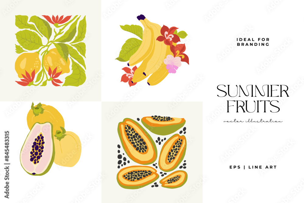 Fruits abstract elements. Food and healsy composition. Modern trendy Matisse minimal style. Fruits poster, invite. Vector arrangements for greeting card or invitation design Fruits abstract elements. Food and healsy composition. Modern trendy Matisse minimal style. Fruits poster, invite. Vector arrangements for greeting card or invitation design