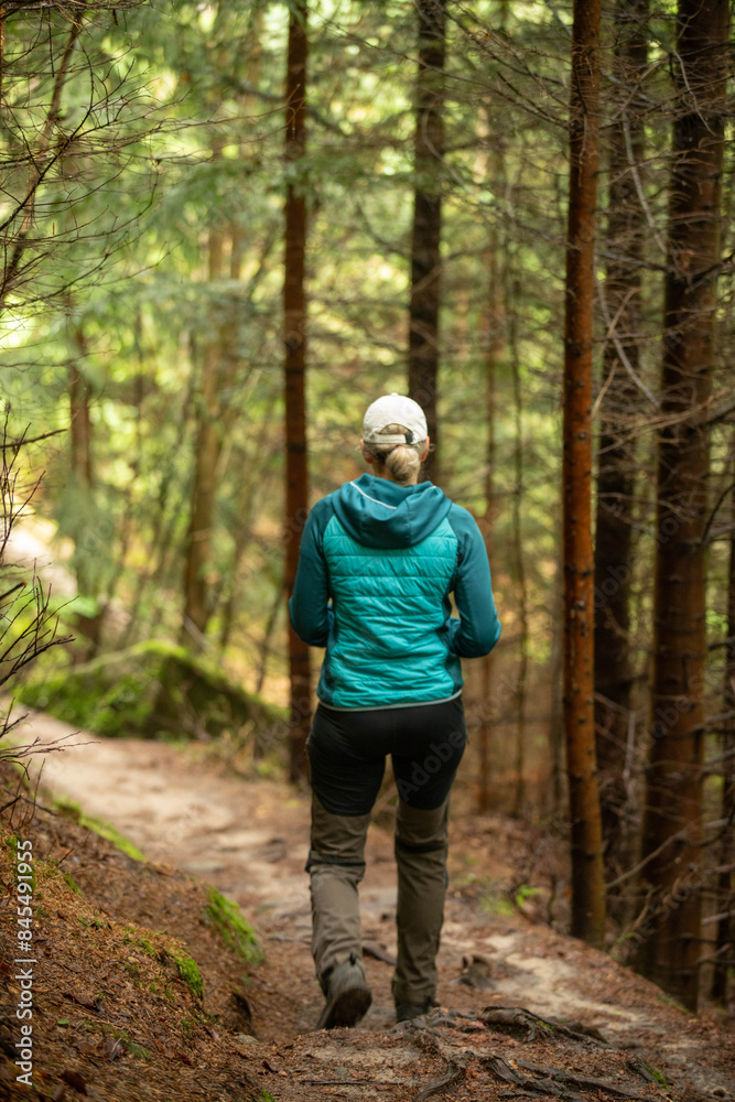 Fototapeta premium Wandern im Wald