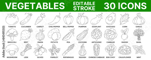 Vegetables and greens, vector minimal line icon set. Editable stroke. Vegetable icon set. Outline icons collection of veggies. Concept of farming, vegetarian food, proper nutrition, harvesting