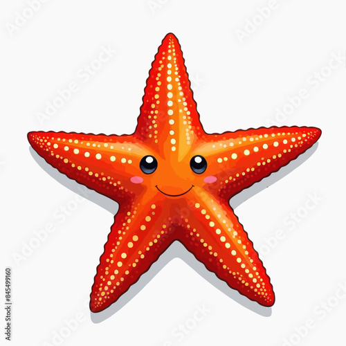 a starfish with a smiley face on a white background