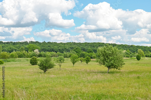 Natur See Baum Enspannung photo