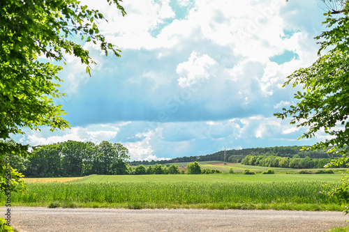 Natur See Baum Enspannung