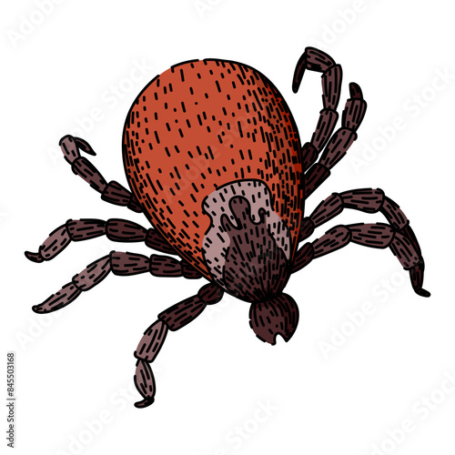 bite tick hand drawn. parasite animal, bed bedbug, forest encephalitis bite tick vector sketch. isolated color illustration