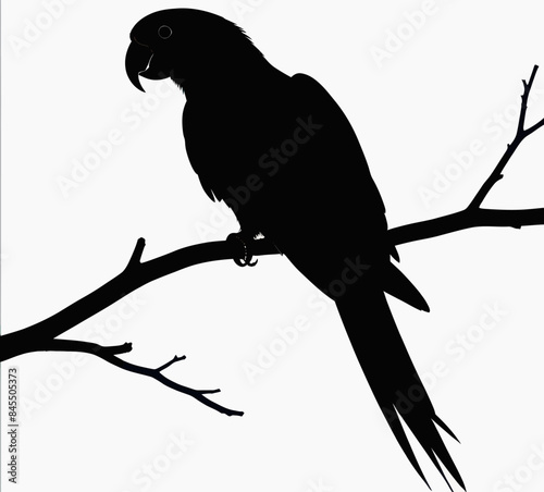 a black and white silhouette of a parrot perched on a branch