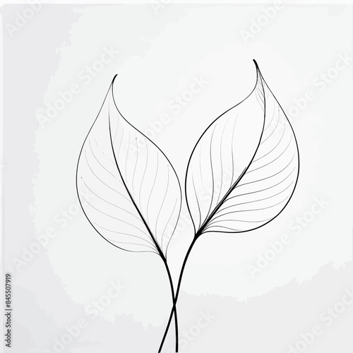 a black and white photo of a single leaf