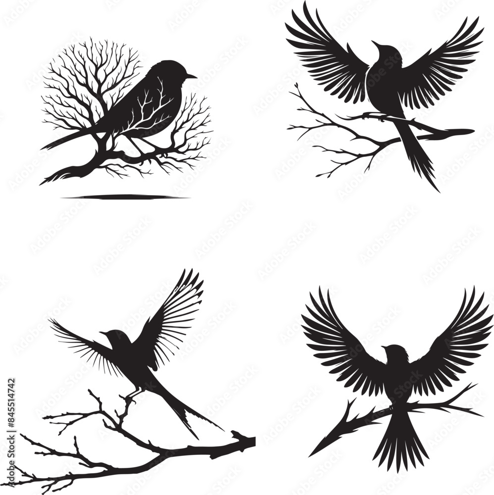 Obraz premium set of birds