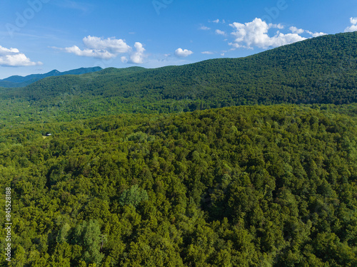 Aerial view of dense forest on the foothill of the Velebit Mountain, Croatia photo