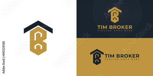 Abstract initial roof letters TB or BT logo in black gold color isolated on multiple background colors. The logo is suitable for mortgage broker logo vector design illustration inspiration templates.